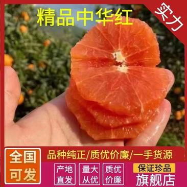 中华红橙血橙产地直发洗果打蜡一条龙服务实地看货