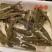 草鱼苗大量供应，规格齐全大小齐全，欢迎新老朋友，前来考察