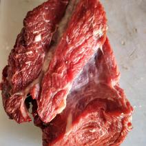 精品牛肉大量上市品质保证诚信经营一手货源欢迎来电采购