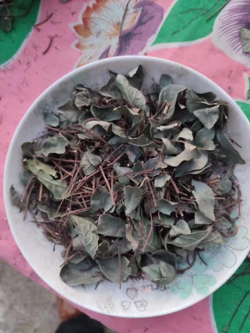 络石藤中药材