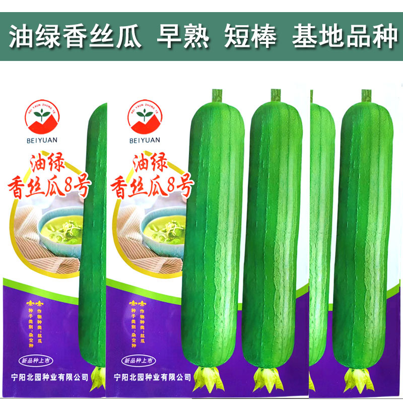 肉丝瓜种子油绿香丝瓜8号种子黑籽早熟高产瓜皮绿油亮