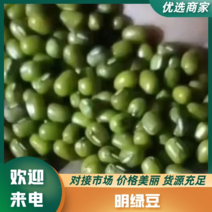 【优选】河北明绿豆-产地直发品质-价格-支持视频