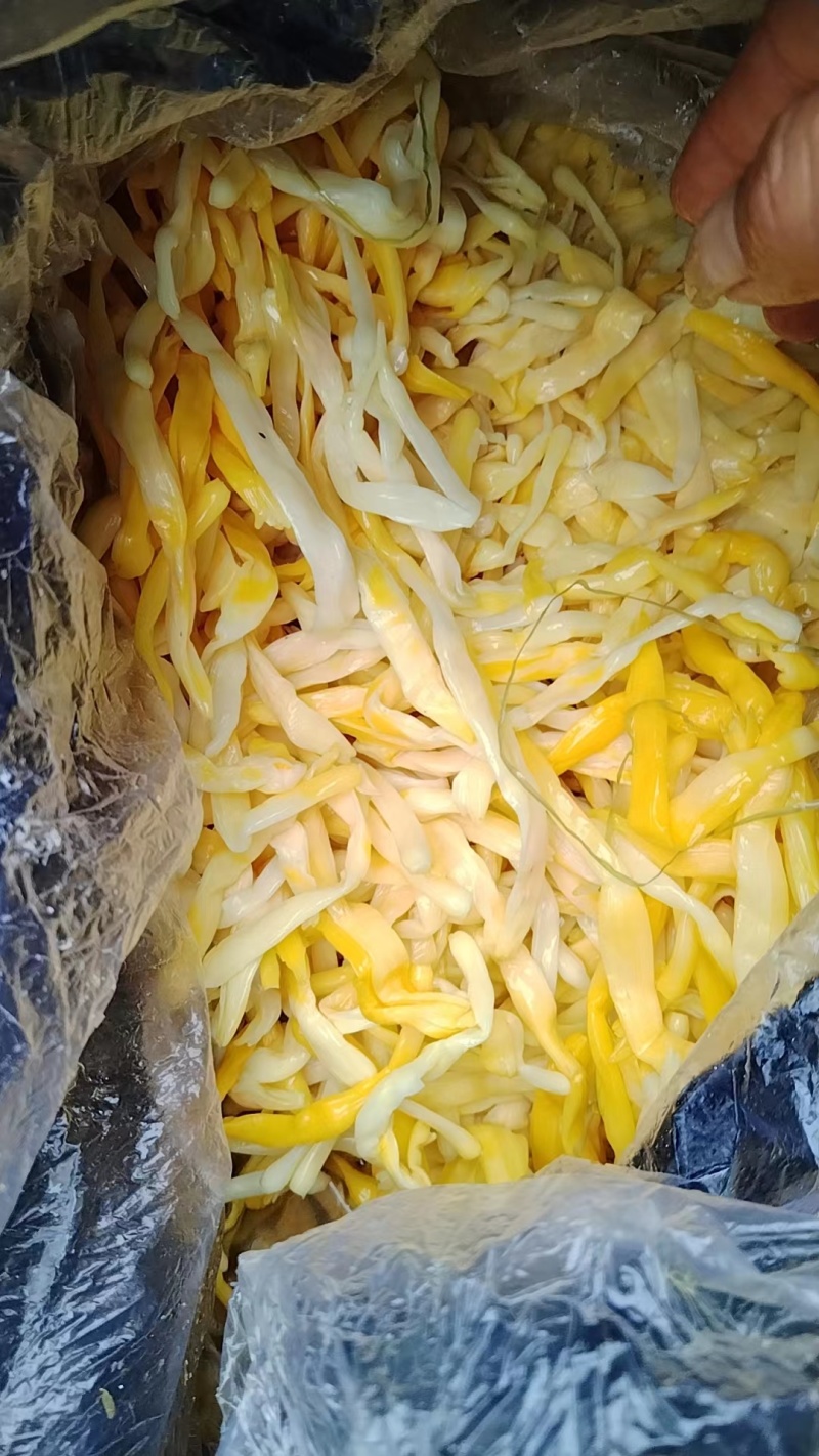 山东精品新鲜清水黄花菜原材料黄心花价格优惠欢迎来电采购