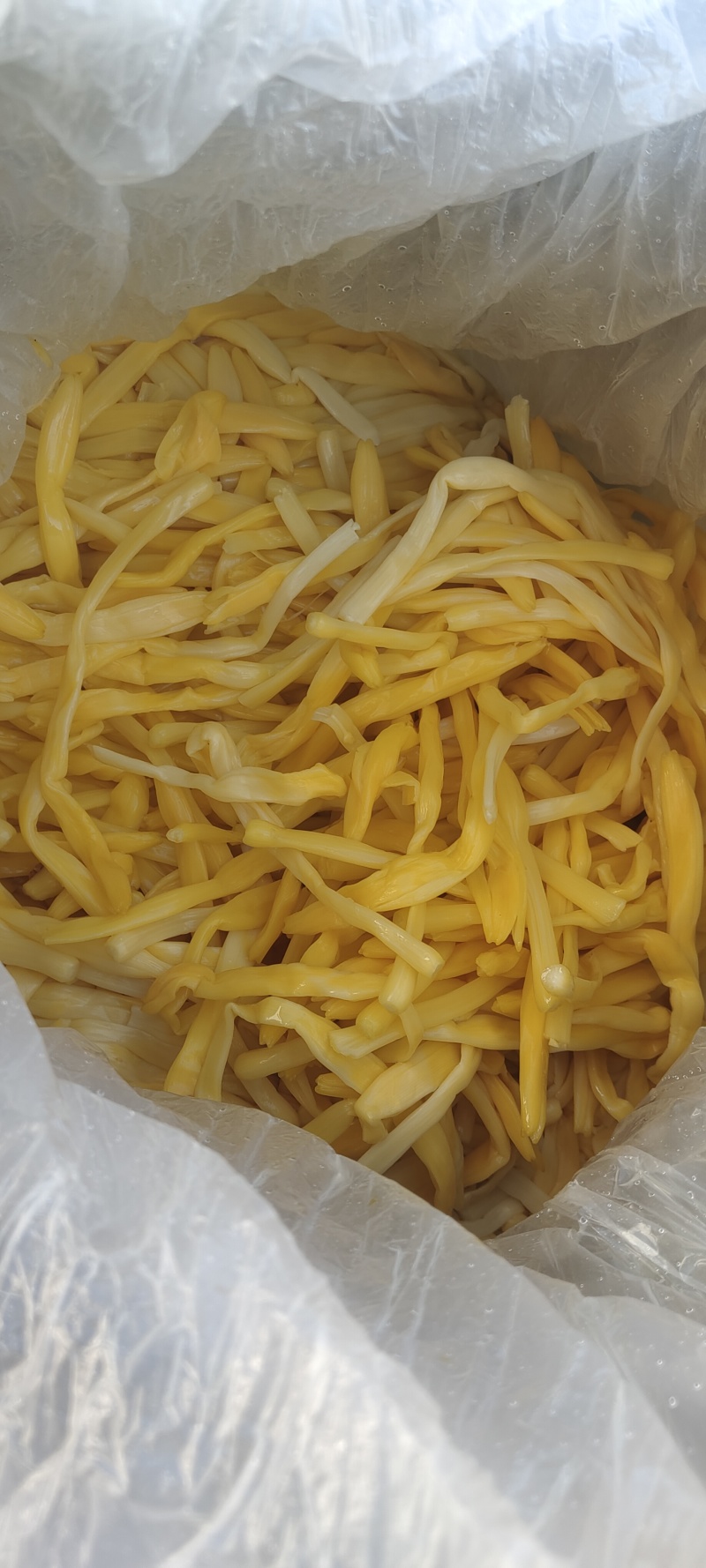 山东精品新鲜清水黄花菜原材料黄心花价格优惠欢迎来电采购