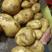 内蒙古牙克石土豆，产地直发，保质保量，欢迎老板选购