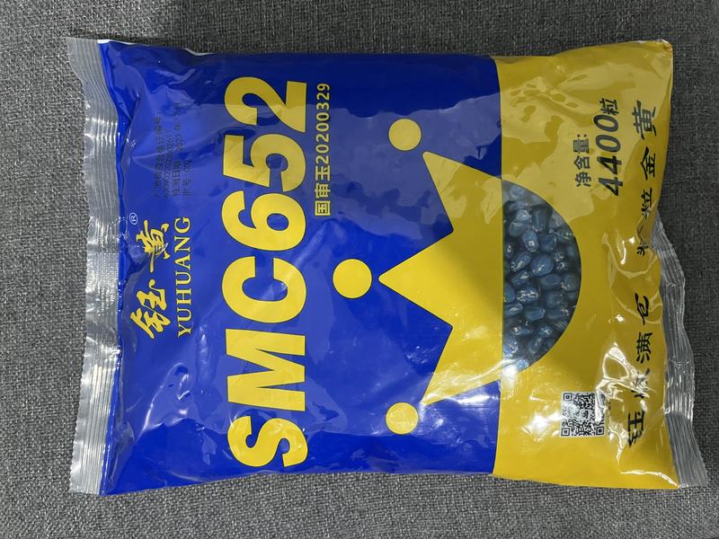 商都种业SMC652.大田作物玉米种子.钰收满仓粒粒金黄