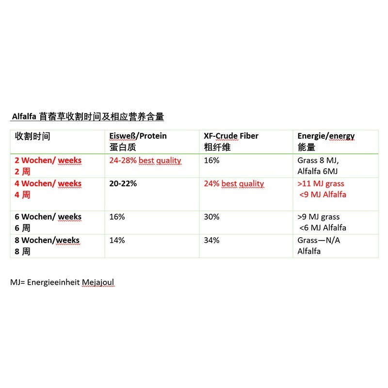 苜蓿草颗粒啮齿宠物饲料原料牛羊猪饲料宠物料原料