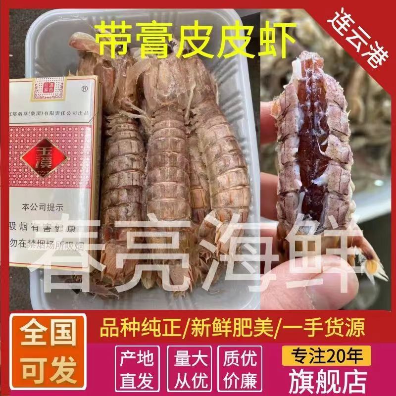 皮皮虾虾爬子带膏皮皮虾虾姑虾婆江苏水产基地直发