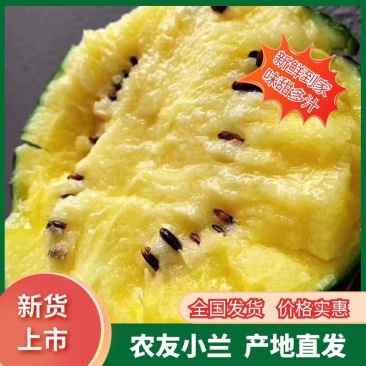 山东黄瓤富硒小兰，2k礼品西瓜产地直供，对接商超，市场