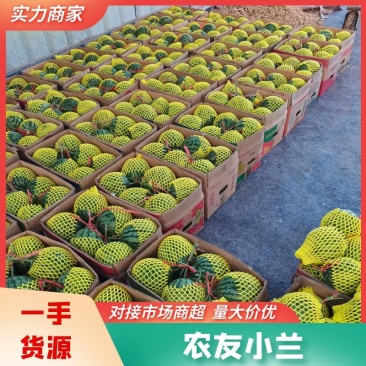 仁风富硒西瓜黄心西瓜当季新鲜水果商超品质产地直发