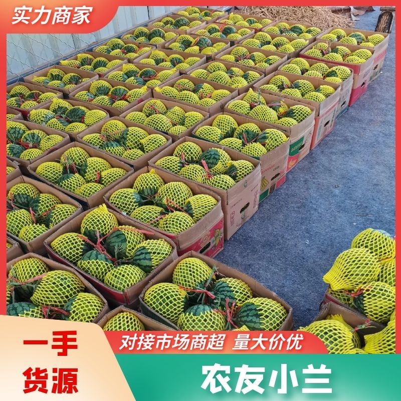 仁风富硒西瓜黄心西瓜当季新鲜水果商超品质产地直发