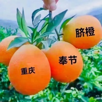 【优选】奉节脐橙大量上市基地直发量大从优品质保证欢迎