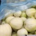 辽宁精品京蜜大量供应一手货源诚信合作欢迎采购