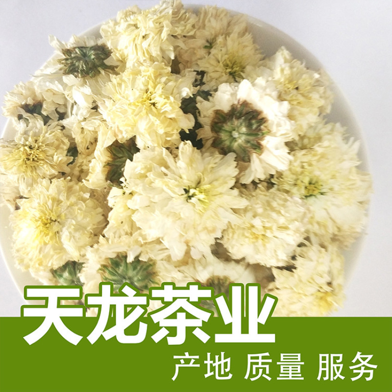 贡菊七月菊菊花茶