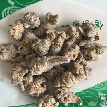 三七60头规格齐全批发零售