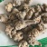 三七60头规格齐全批发零售