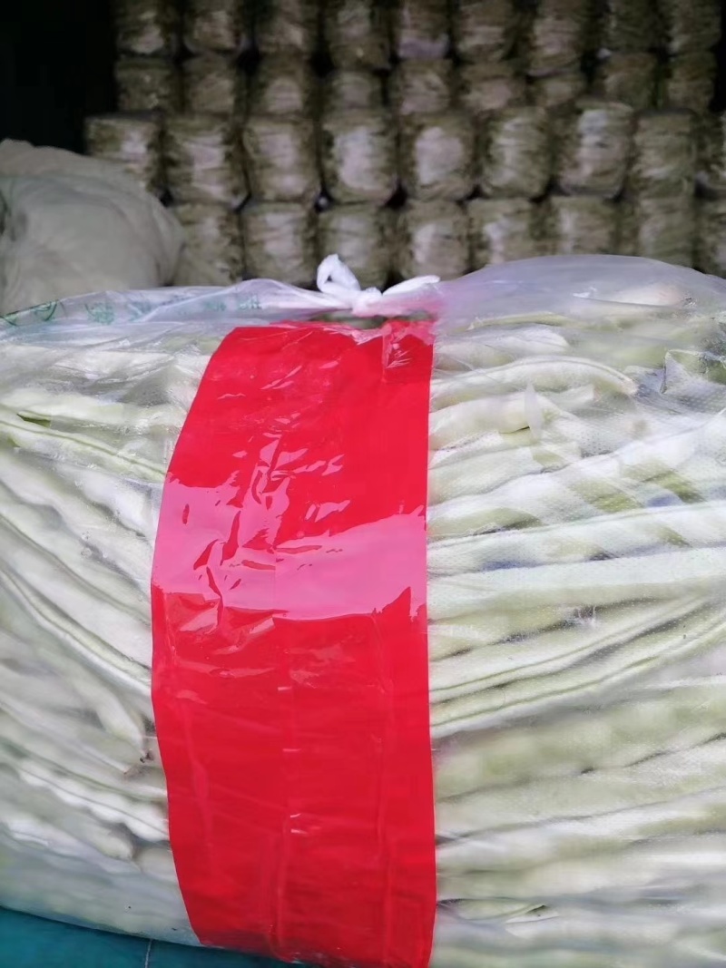 山东产地直销精品九粒白芸豆现摘现发货量充足欢迎电联咨询