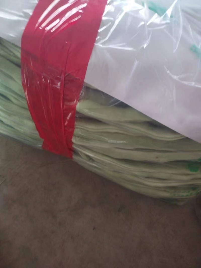 山东产地直销精品九粒白芸豆现摘现发货量充足欢迎电联咨询