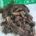 玄参规格齐全批发零售