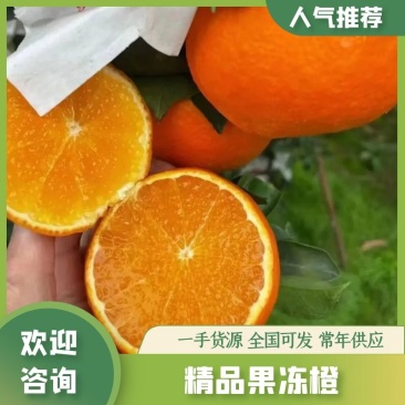 正宗红美人柑橘果冻橙新鲜采摘水果高端精品礼盒现摘