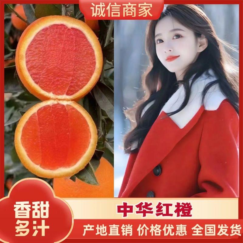 中华红血橙产地直发个头均匀皮薄味甜电商商超直供