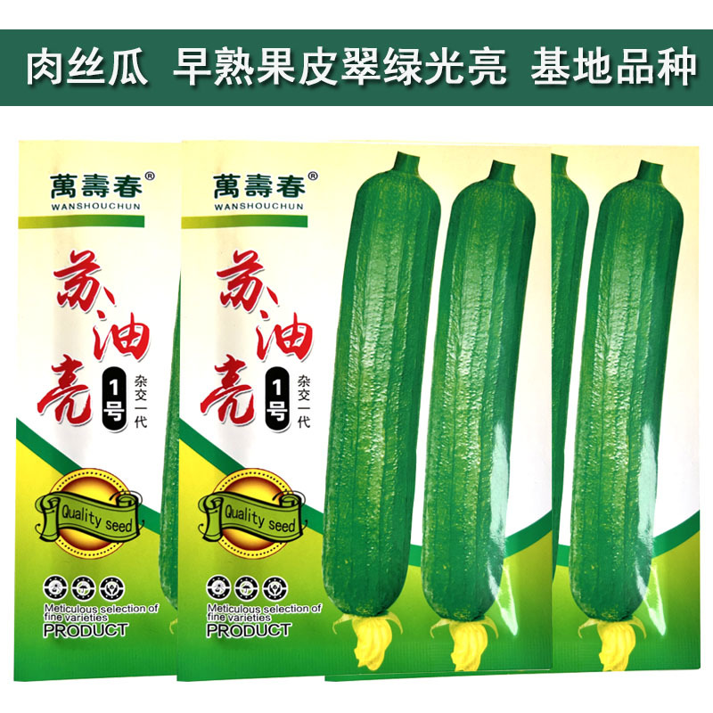 苏油亮1号丝瓜种子早熟油绿香丝瓜种籽油亮短棒丝瓜种孑肉厚