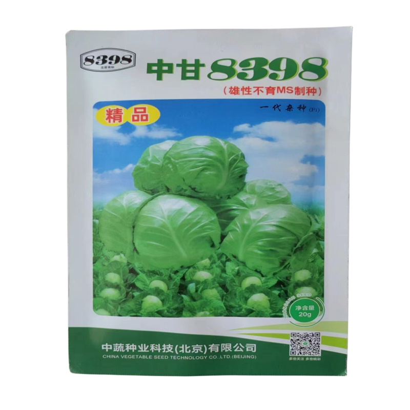 精品中甘8398早熟甘蓝种子20g雄性不育MS制种抗烧