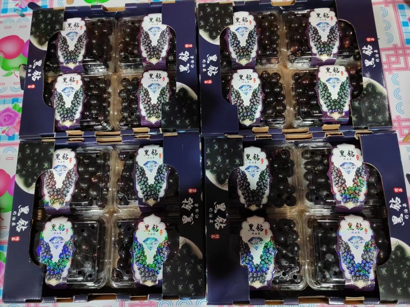 精品珍宝果规格多样可选产地一手货源新鲜保质来电包售后