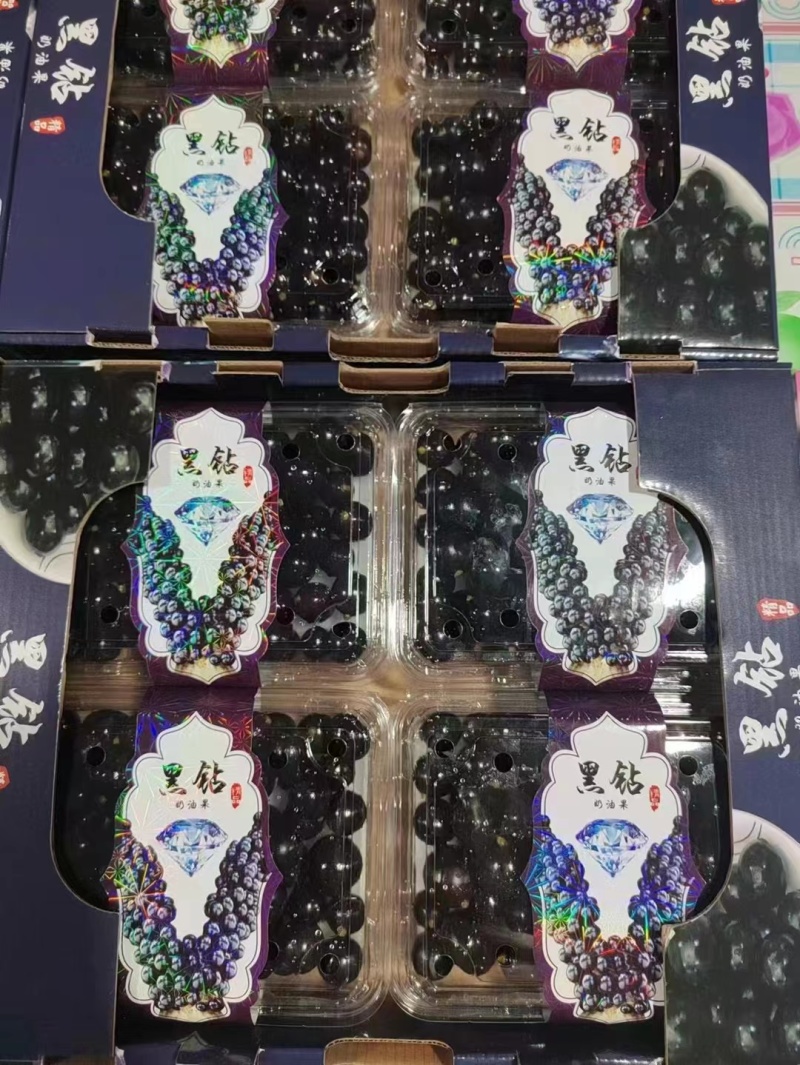 【精品】树葡萄/嘉果宝/珍宝果大量供应新鲜分拣各种包规格
