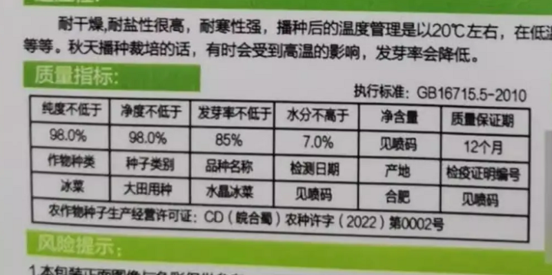 水晶冰菜种子籽水晶冰草种子春秋耐热耐寒凉拌鲜食特色蔬菜种