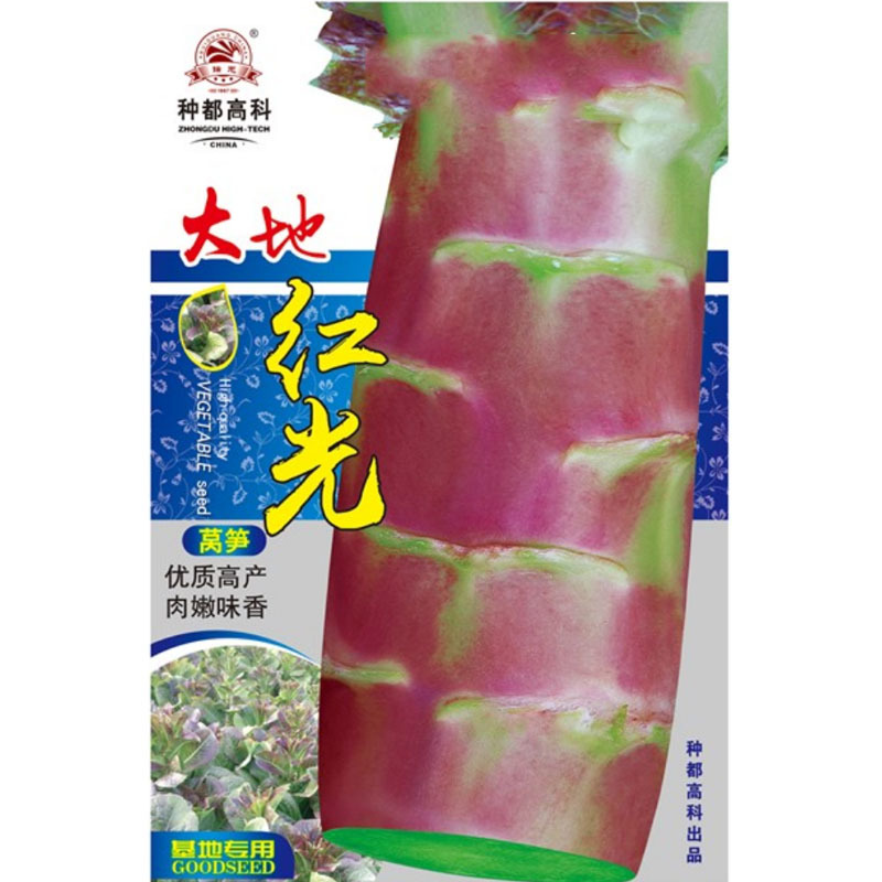 大地红莴笋种子皮色极红艳肉质青质香脆口味抗病强