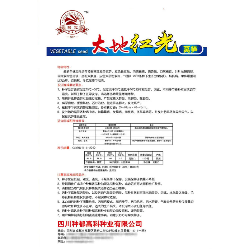 大地红莴笋种子皮色极红艳肉质青质香脆口味抗病强