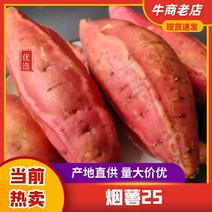 【牛商推荐】烟薯25山东红薯烟薯量大从优欢迎选购