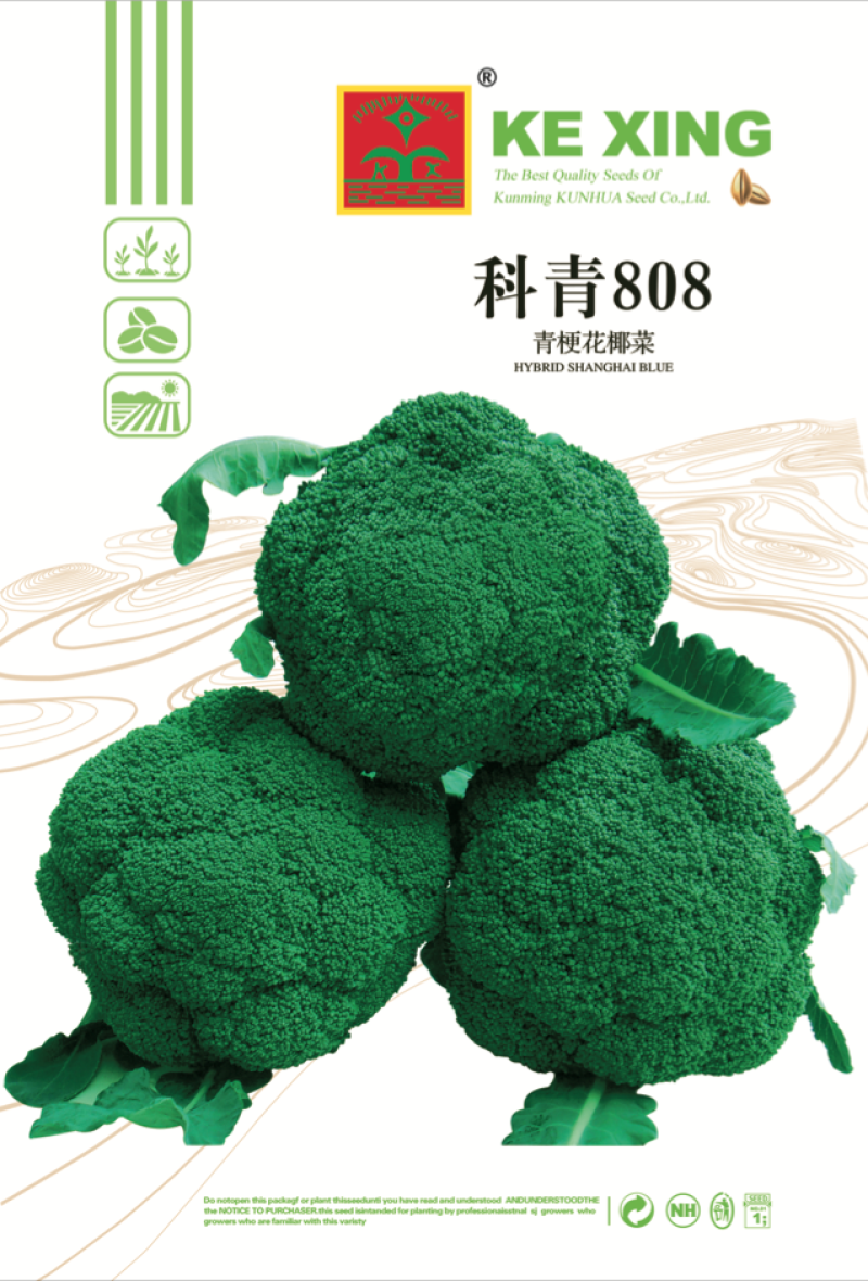 西兰花种籽西兰花种子有机蔬青甘蓝包菜花菜种子青梗花椰菜
