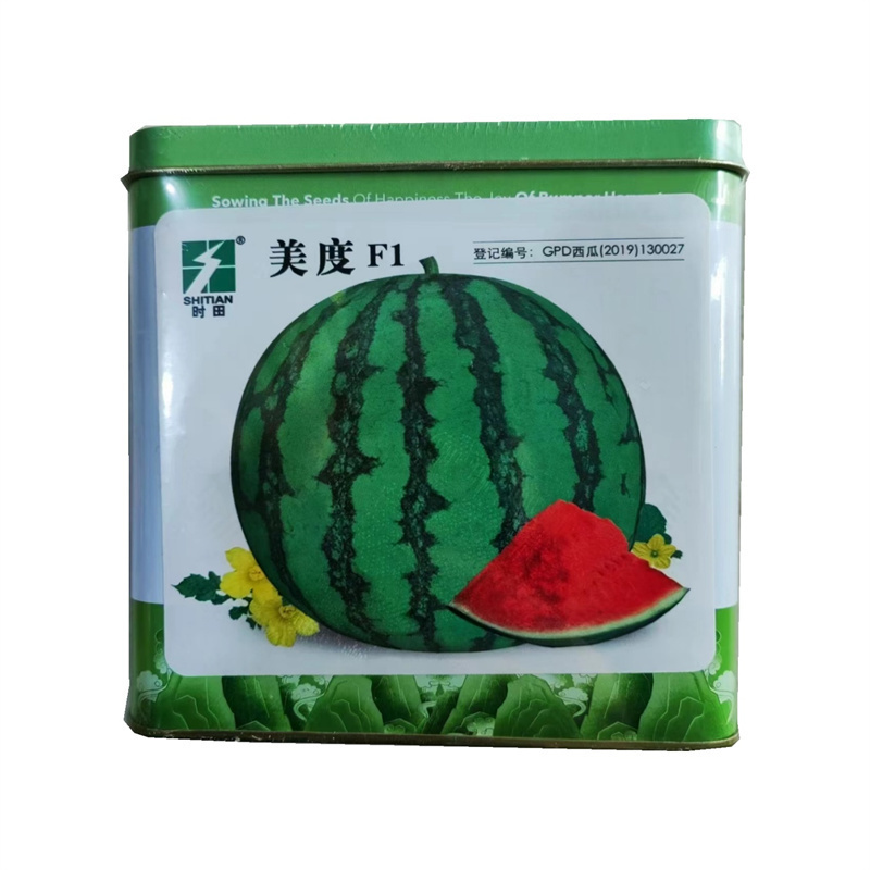美度西瓜种子中早熟瓤色鲜红美都西瓜种子