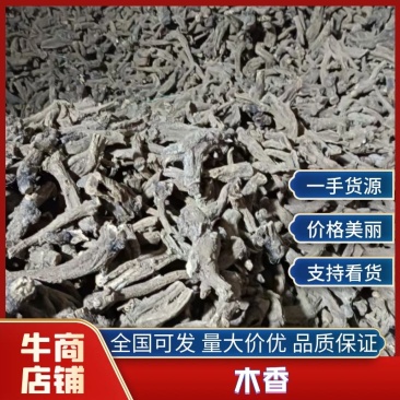 陕西【木香】质量保证优质货源货源充足欢迎联系