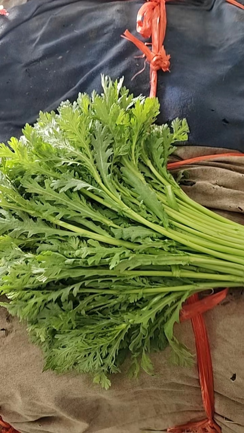【价格面议】山东茼蒿全方面一体化加工出售茼蒿可视频看货