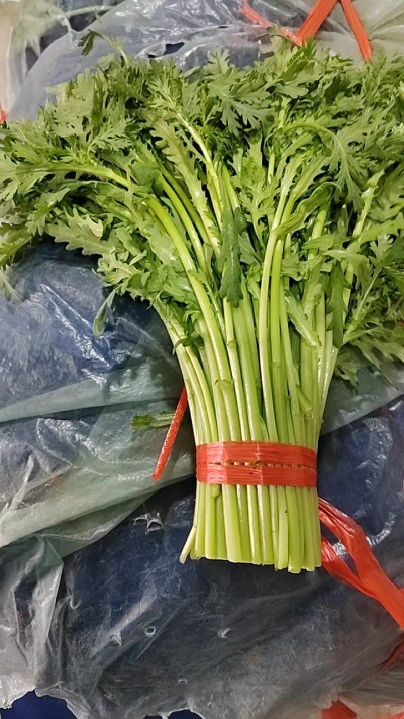 【价格面议】山东茼蒿全方面一体化加工出售茼蒿可视频看货