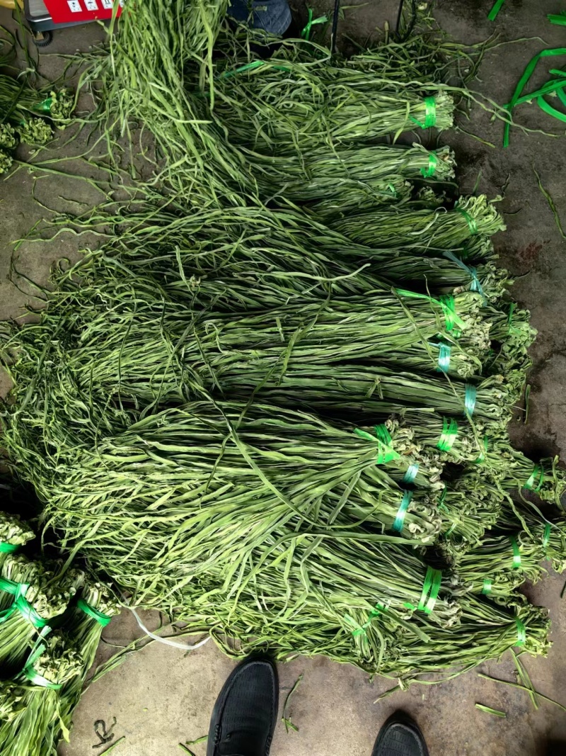 【实力】安徽贡菜干-一手货源量大从优-可炒肉可涮火锅