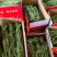 【实力】安徽贡菜干-一手货源量大从优-可炒肉可涮火锅