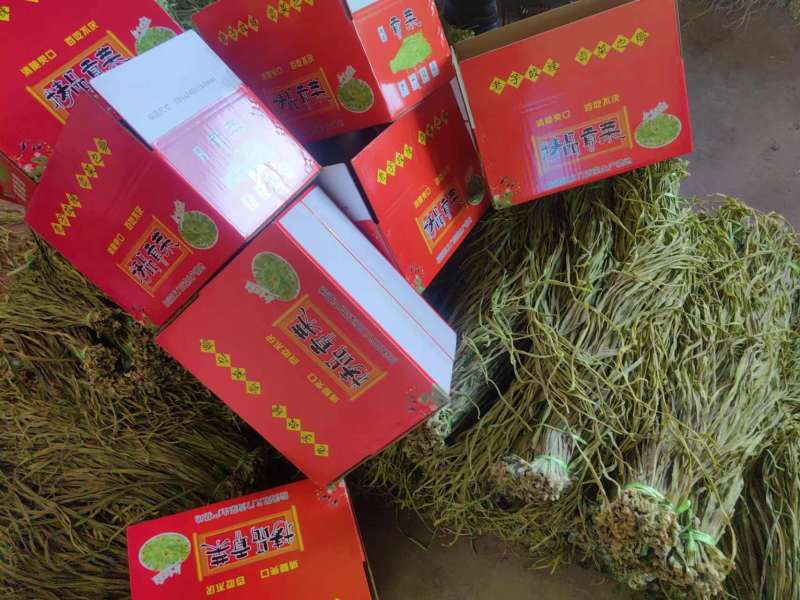 【实力】安徽贡菜干-一手货源量大从优-可炒肉可涮火锅
