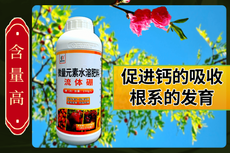 流体硼大瓶小分子硼促花果提高坐果防落果提产量籽粒饱满