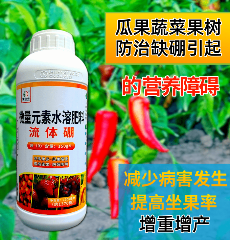 流体硼大瓶小分子硼促花果提高坐果防落果提产量籽粒饱满