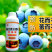 流体硼大瓶小分子硼促花果提高坐果防落果提产量籽粒饱满