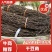 【实力】安徽干豆角-一手货源量大从优-可炒肉可涮火锅