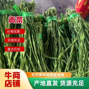 【实力】安徽贡菜干-一手货源量大从优-可炒肉可涮火锅