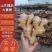 【山东大黄姜】产地直发超市市场电商货源充足品质保证