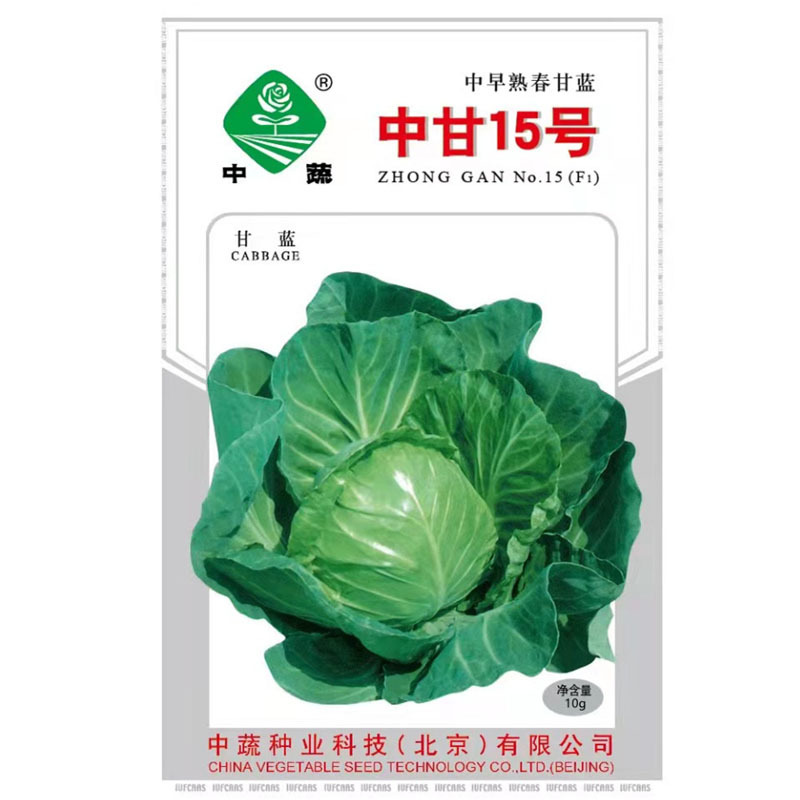 中蔬中甘15号甘蓝中甘十五甘蓝种子种籽包菜圆白菜卷心