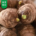 毛芋头种子8520毛芋头产量高适合各地种植大量批发全国发货