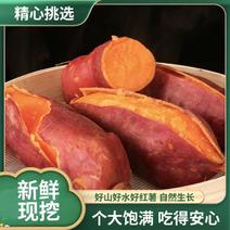 【香甜可口】红薯山东西瓜红量大从优对接全国，欢迎选购